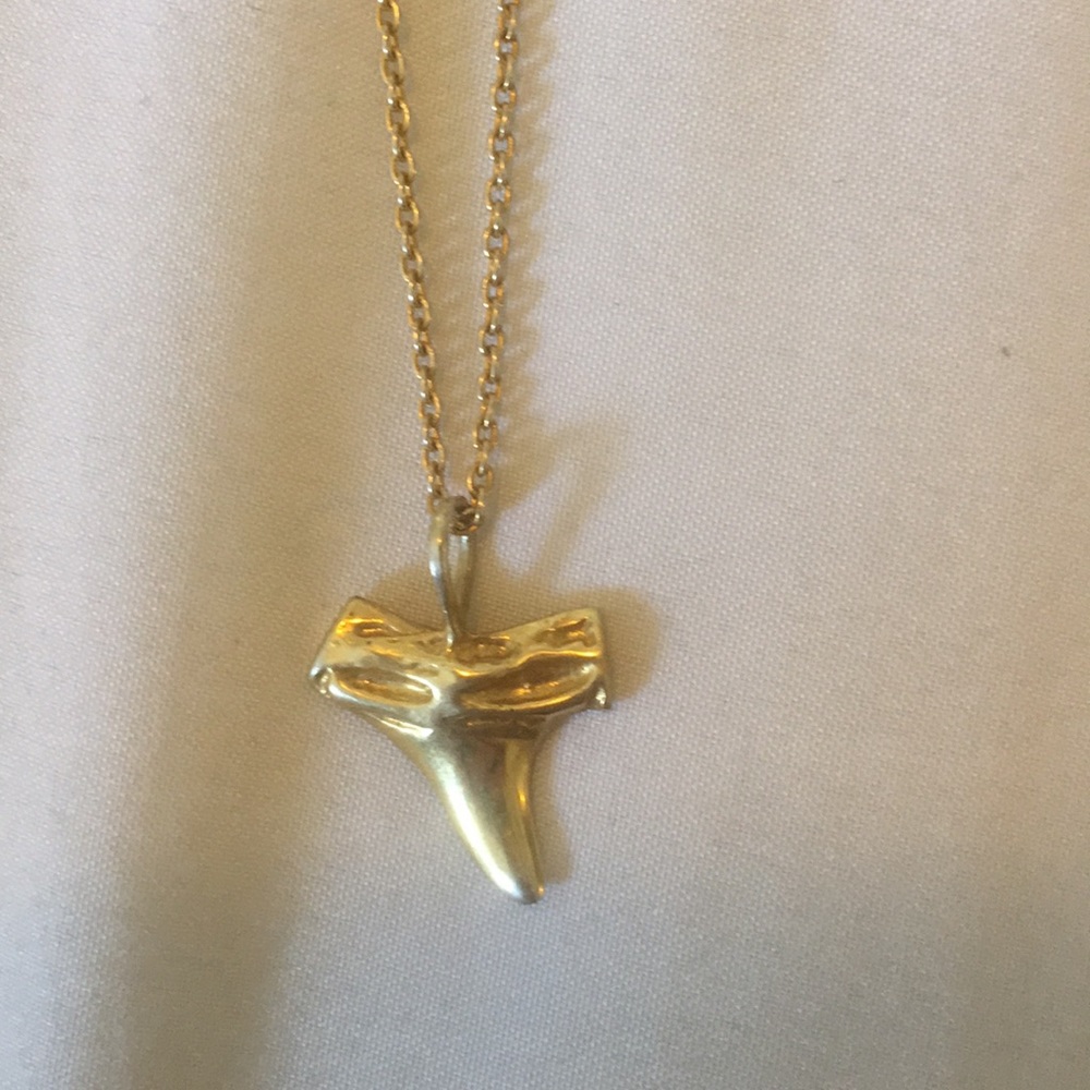 Gold shark tooth necklace